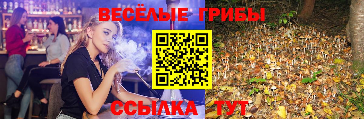 Галлюциногенные грибы Magic Shrooms Оренбург