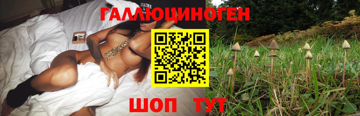 Оренбург  Галлюциногенные грибы мицелий  Вход с VPN 